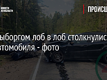 Под Выборгом лоб в лоб столкнулись два автомобиля - фото