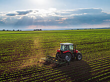 В аграрных компаниях появились вакансии с зарплатой 250 тысяч рублей