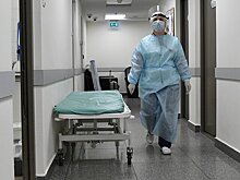 Большинство россиян не боятся заразиться оспой обезьян