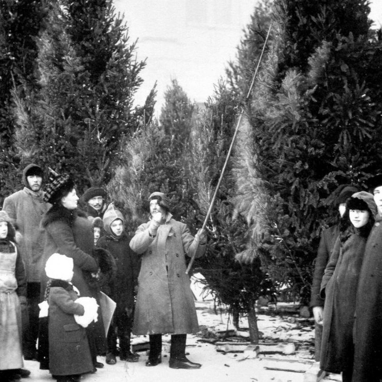 Детские воспоминания Анастасии Цветаевой о любимом на все времена празднике  - Рамблер/субботний