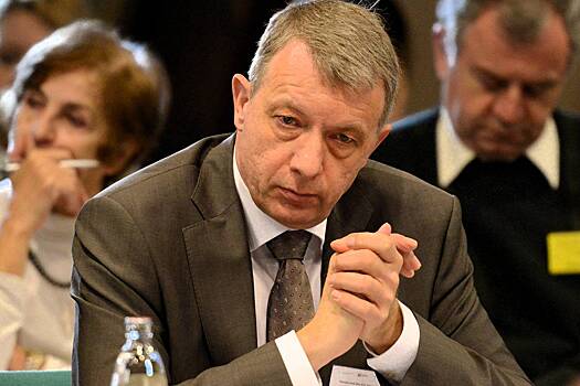 Представитель Европарламента посетит Москву