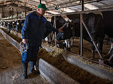 Четверть из созданных кооперативов в Казахстане бездействуют