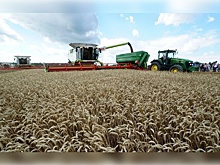 За 5 лет смогли получить господдержку более 680 фермеров и сельхозкооперативов Башкортостана