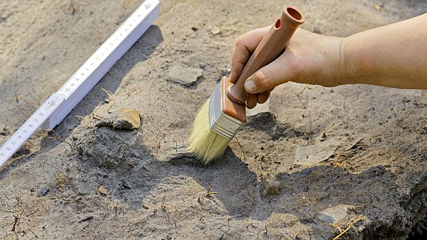 В Германии обнаружена могила «зомби» возрастом более 4 000 лет