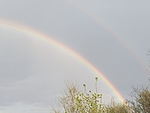 Волгоградцы вечером заметили радугу в пасмурном небе