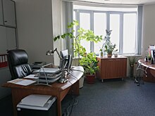 Запад и центр столицы лидируют по сделкам новой аренды и продажи офисов в 2023 году