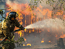 На Ямале бушуют природные пожар