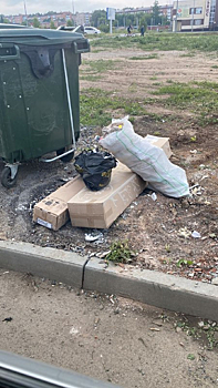 Мэр кузбасского города пригрозил любителям оставлять строительные отходы у мусорок