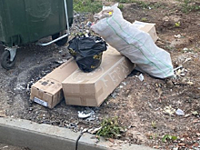 Мэр кузбасского города пригрозил любителям оставлять строительные отходы у мусорок