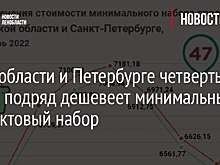 В Новосибирской области минимальная продуктовая корзина подешевела на 2,8%