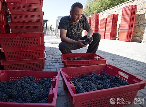 Госдума одобрила поправки о развитии виноделия