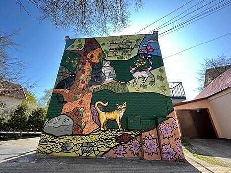 В Зеленоградске электроподстанцию возле променада украсили граффити с изображением котов