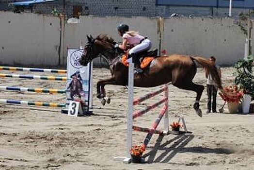 Куряне вошли в состав сборной России по конному спорту