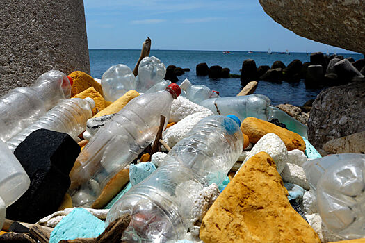 Исследователи оценили способность морских бактерий разъедать пластмассу