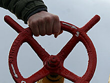 Ахметов, Фирташ и Тигипко получили лицензии на поставку газа на Украину