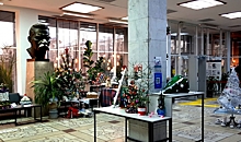 Парад необычных новогодних елок устроили библиотекари Волгограда