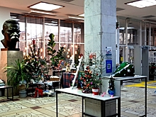 Парад необычных новогодних елок устроили библиотекари Волгограда