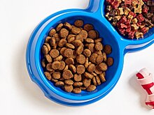 В Farmina заявили, что выявленный уровень мышьяка в ее кормах ниже допустимого