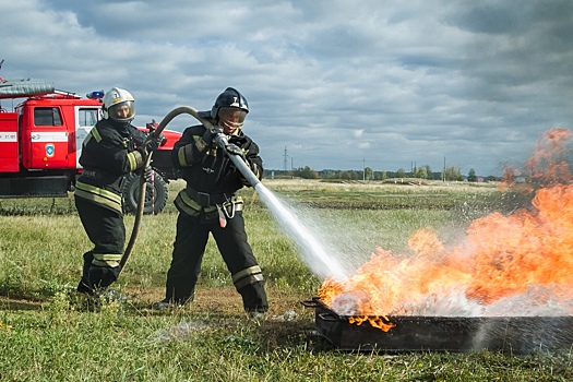 Омские пожарные потушили огонь в поле