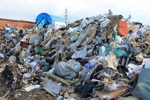 За год в Пскове вывезли со стихийных свалок 16 тыс. кубометров мусора