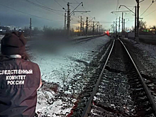 Поезд насмерть сбил мужчину с двумя детьми в Иркутской области