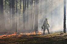 Житель Воткинска оказался на 11 месте в конкурсе лучших лесных пожарных России и Беларуси