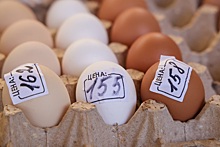 «Вряд ли будут дешеветь!»: Экономист назвал настоящую причину подорожания яиц