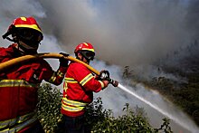 В трех округах Подмосковья провели противопожарные рейды
