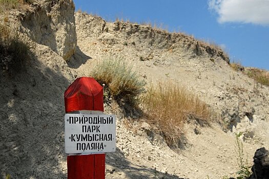 В Саратове передумали отдавать лесопарк муниципалитету