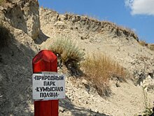 В Саратове передумали отдавать лесопарк муниципалитету