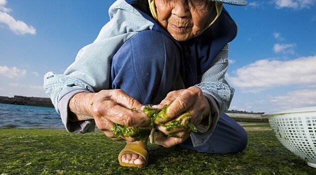 Белок для долгожителей будут выпускать в виде лекарства