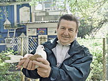 Бакинские бойные и крестовые монахи: москвичам подарили новую голубятню