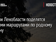 Жители Ленобласти поделятся зимними маршрутами по родному региону