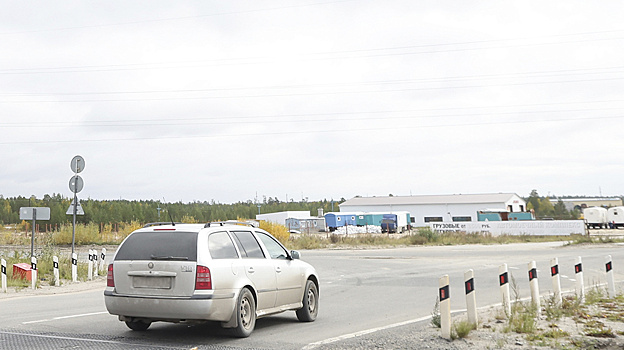 Под Тюменью легковушка насмерть сбила лося
