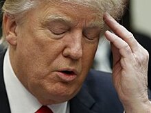 Трампа призвали обнародовать разговор с Зеленским