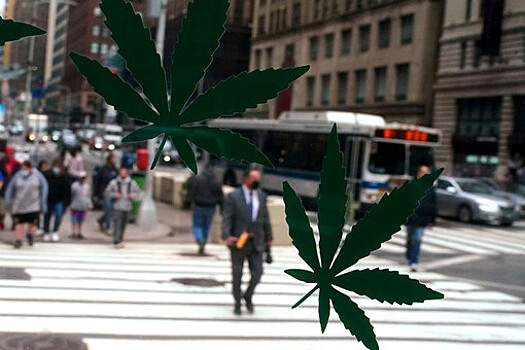 В Нью-Йорке легализовали употребление марихуаны в немедицинских целях