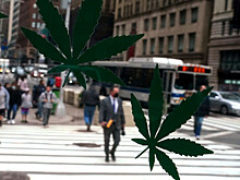 Президент США Байден объявил о помиловании всех осужденных за хранение марихуаны