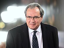 Фадеев, Карелин и Немов вышли из Высшего совета ЕР