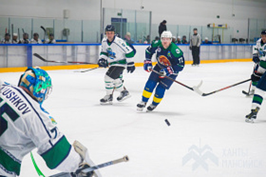 Увидеть хоккейный матч под открытым небом на большом стадионе