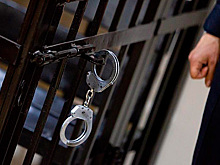 Двух последователей устроившего бойню в колледже Керчи посадили на 11 лет