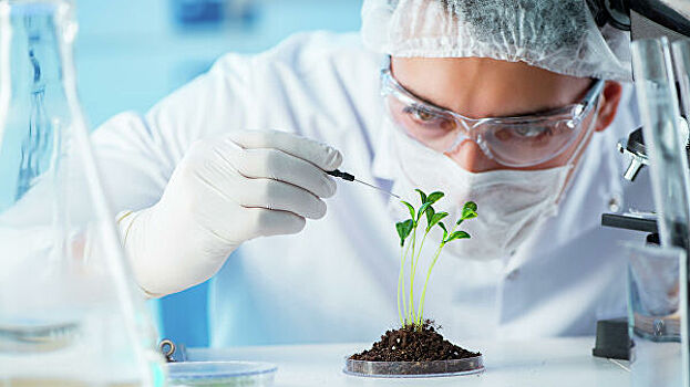 Ученые предложили "зеленый" способ борьбы с вредителями растений