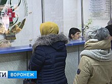 Новые технологии в действии. Как в Воронеже реализуется проект «Бережливая поликлиника»
