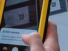 В Ленобласти введут QR-коды с 15 ноября