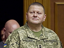 Украинский генерал заявил о попытках офиса Зеленского «слить» Залужного