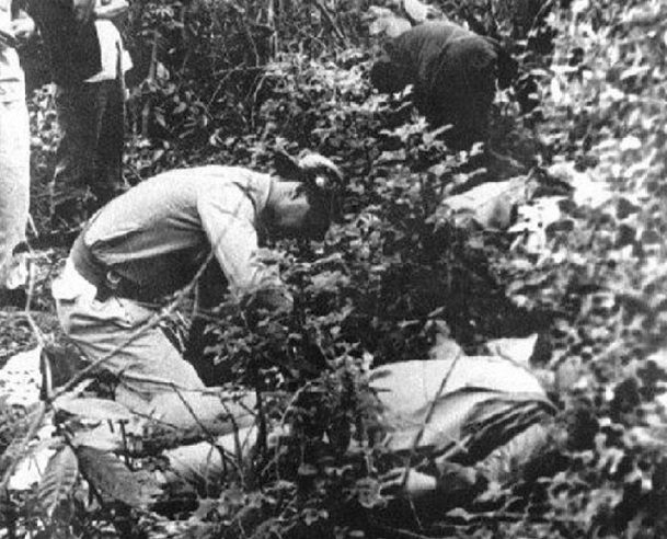 1966 Год Когда Выйдет Новый