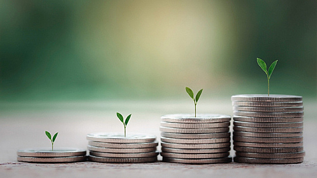 Власти ЮАР начнут прием заявок на участие в программе стимулирования зеленого туризма