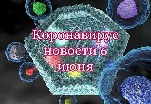 Коронавирус 6 июня: Россия вышла на плато, а Следственный комитет на Платошкина