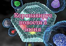 Коронавирус 6 июня: Россия вышла на плато, а Следственный комитет на Платошкина