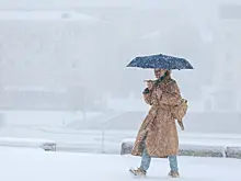 Циклон «Фрэнсис» принесет новые снегопады