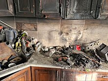 Сушилка для яблок чуть не устроила пожар в курской квартире